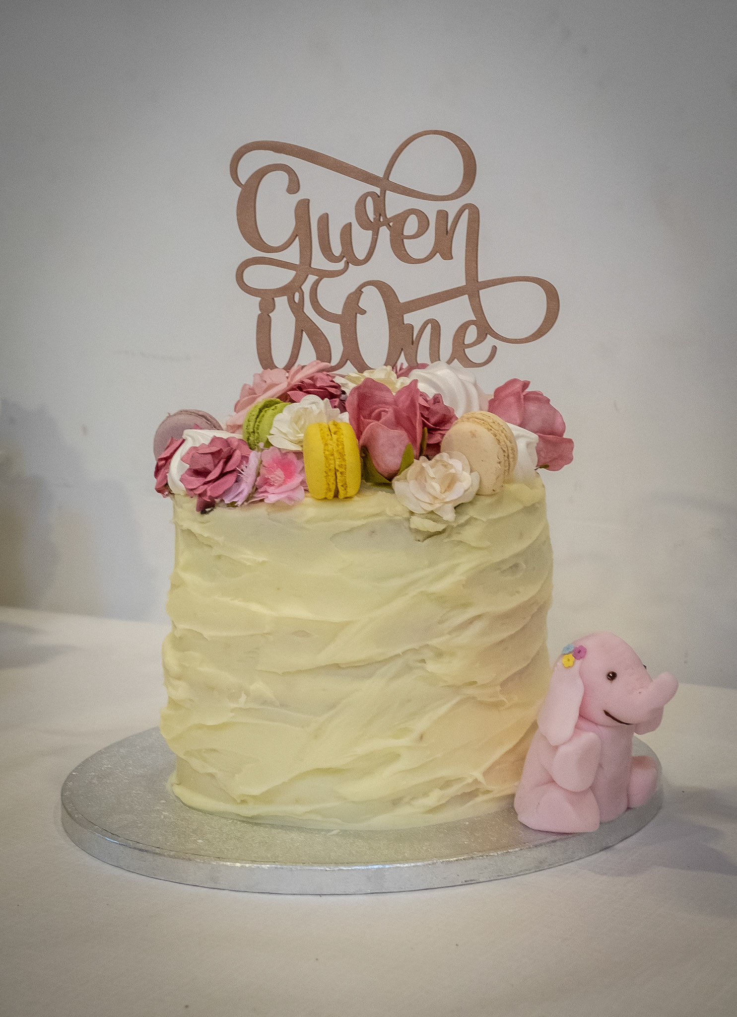 1st Birthday Party Photography