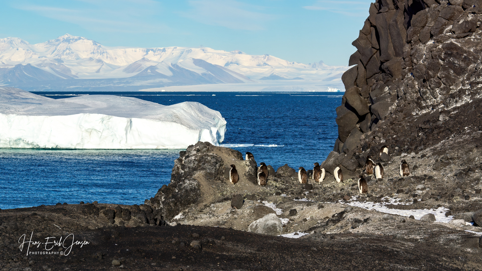 Antarctica 16