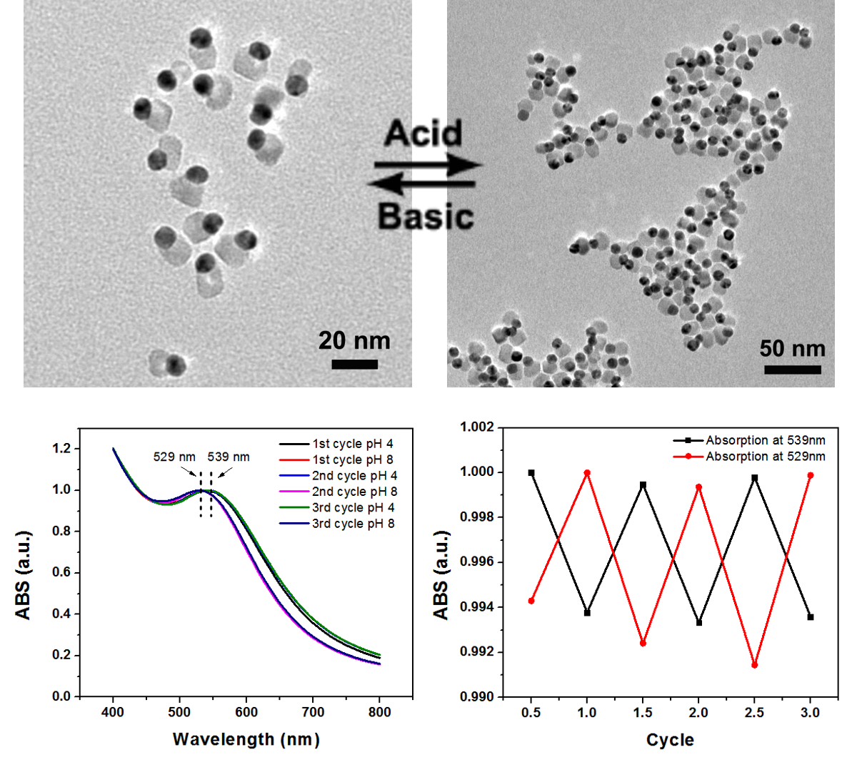 (a) Janus dumbbell nanocrystals dried from solution of pH=8; (b) Janus dumbbell nanocrystals dried from solution of pH=4; (c) UV-Vis spectra of Janus dumbbell nanocrystals cycled between pH=4 and 8; (d) the adsorption intensity at 538 and 529 nm when Janus dumbbell nanocrystals cycled between pH=4 and 8.