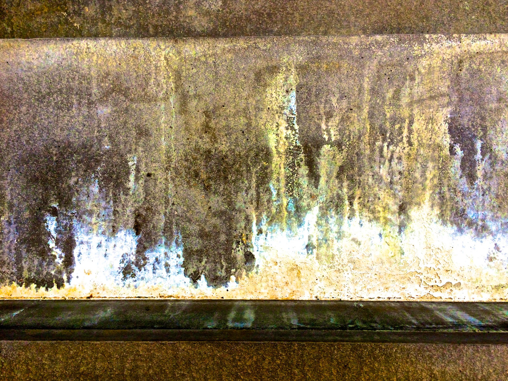 UP007