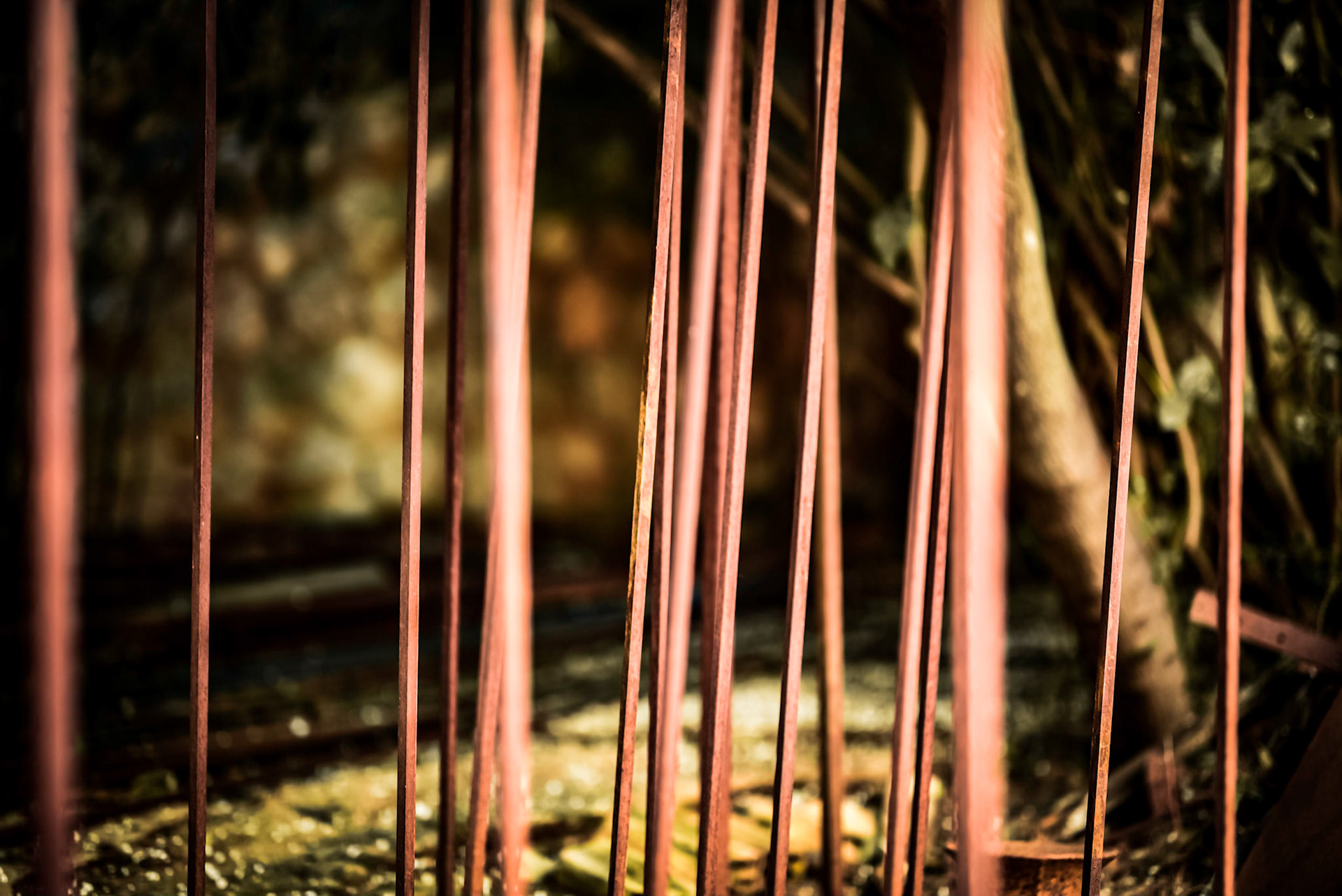 Metal forest