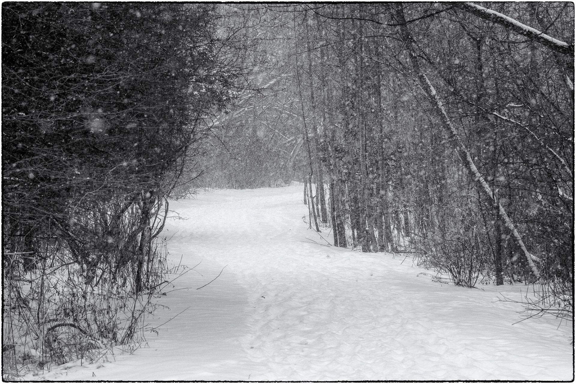 only one way forward, but it twists and turns