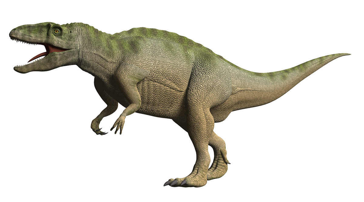 Ota Design Illustration File おおたデザイン工房 恐竜 Dinosaur 白亜紀前期