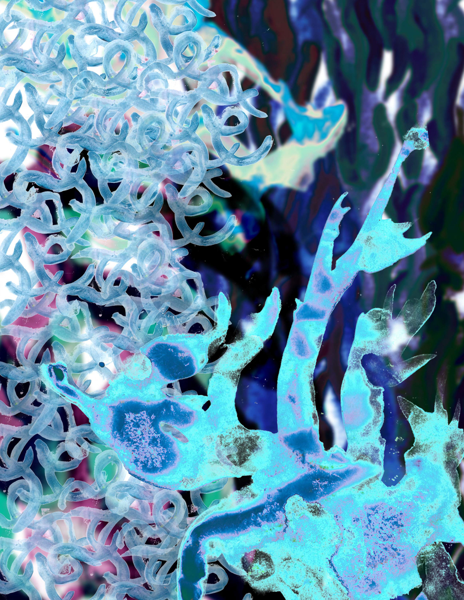 Watercolor, Photoshop