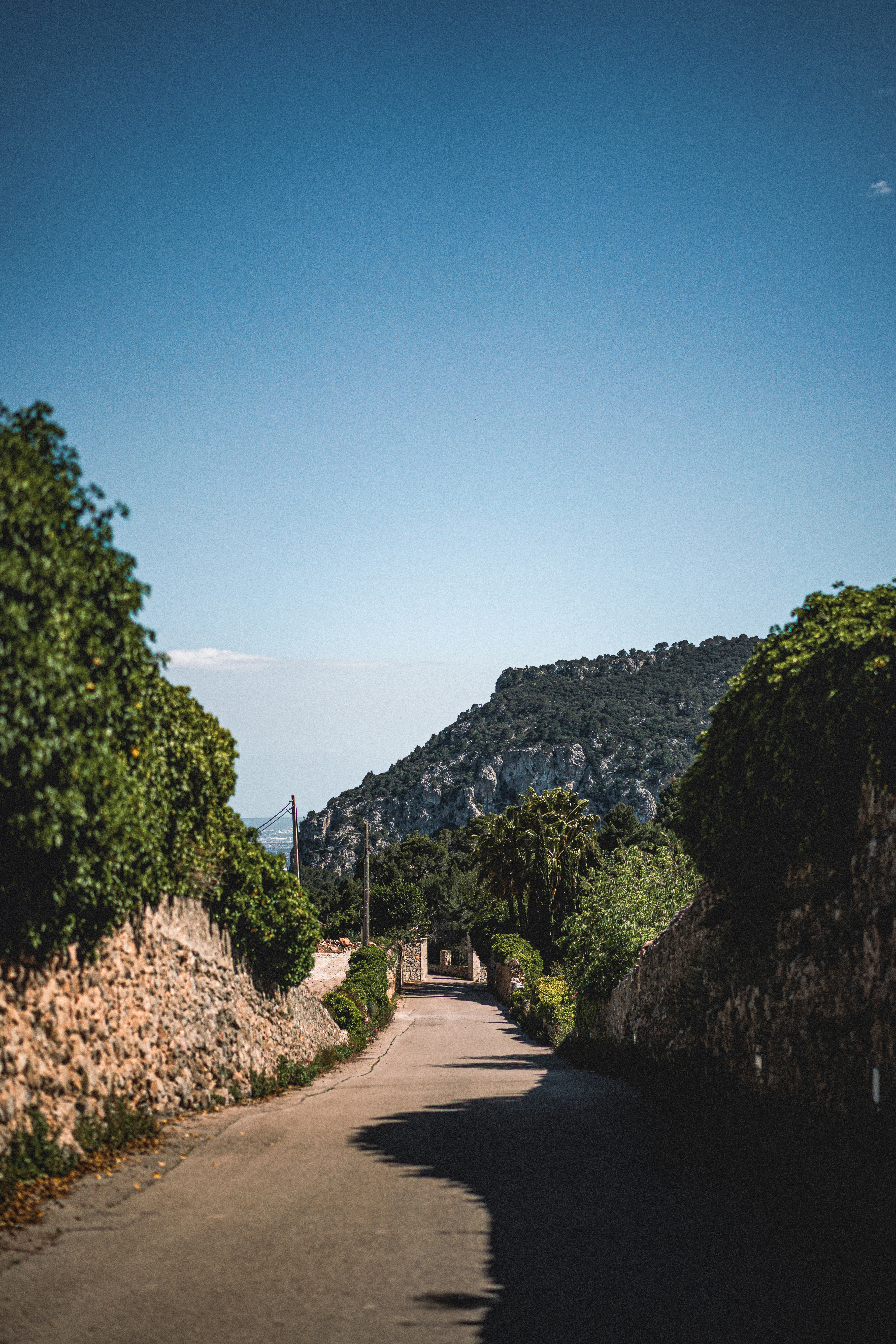 Mallorca / Valldemossa