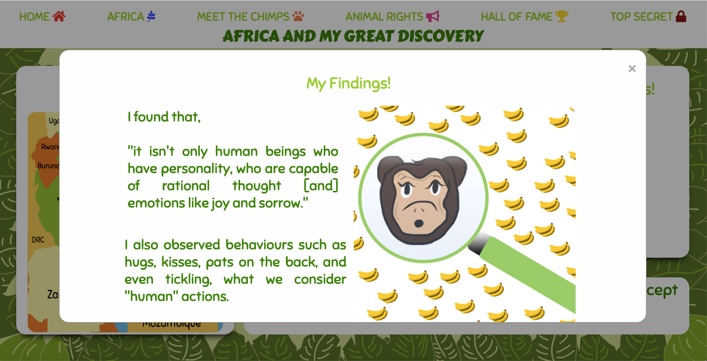 My findings