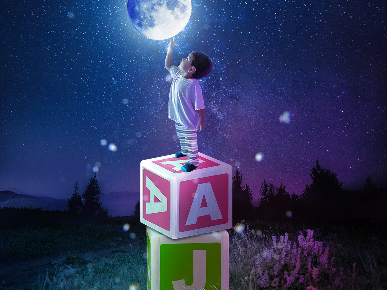 Carlos Creative Area X Book Series