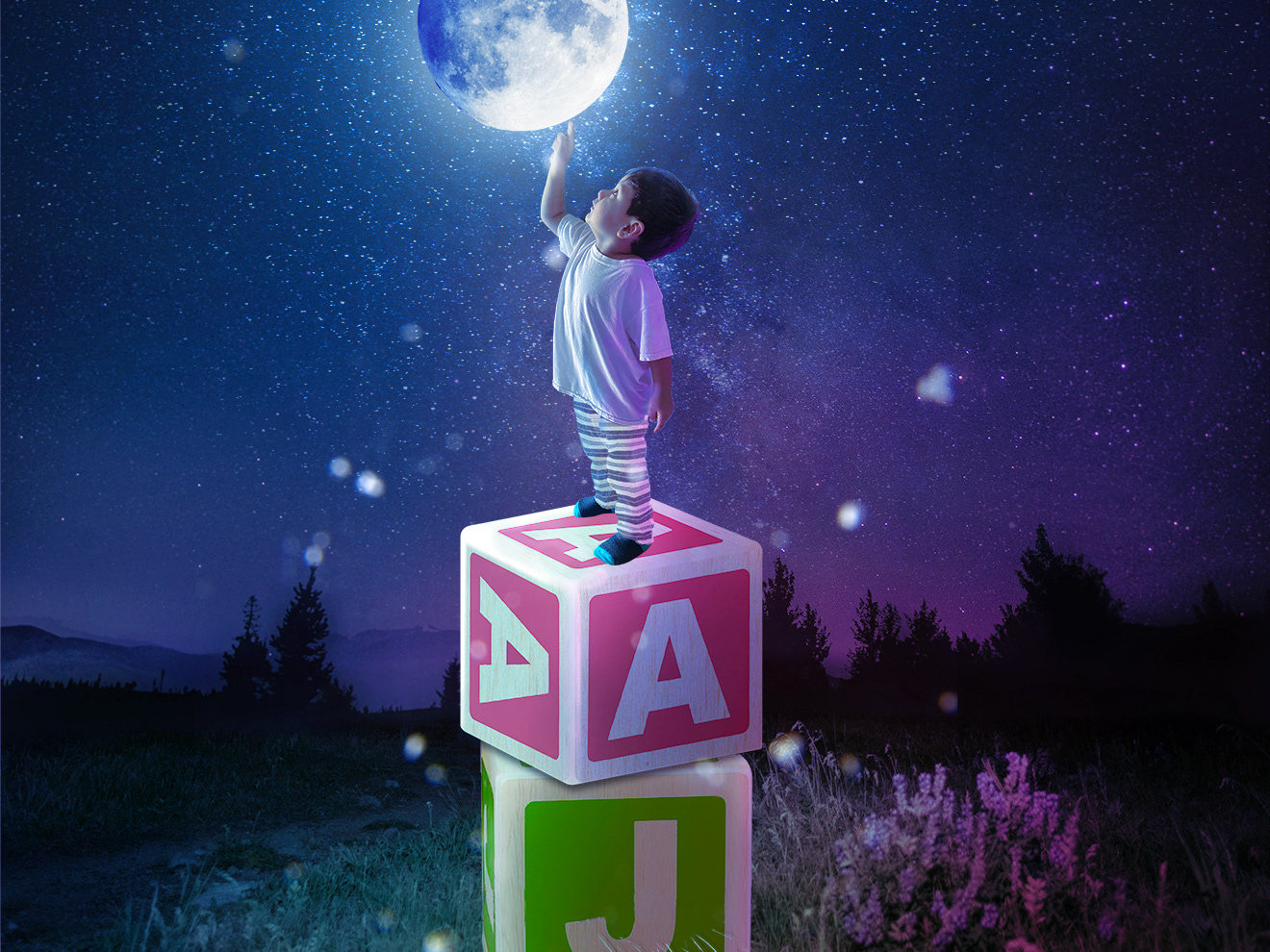 Carlos Creative Area X Book Series