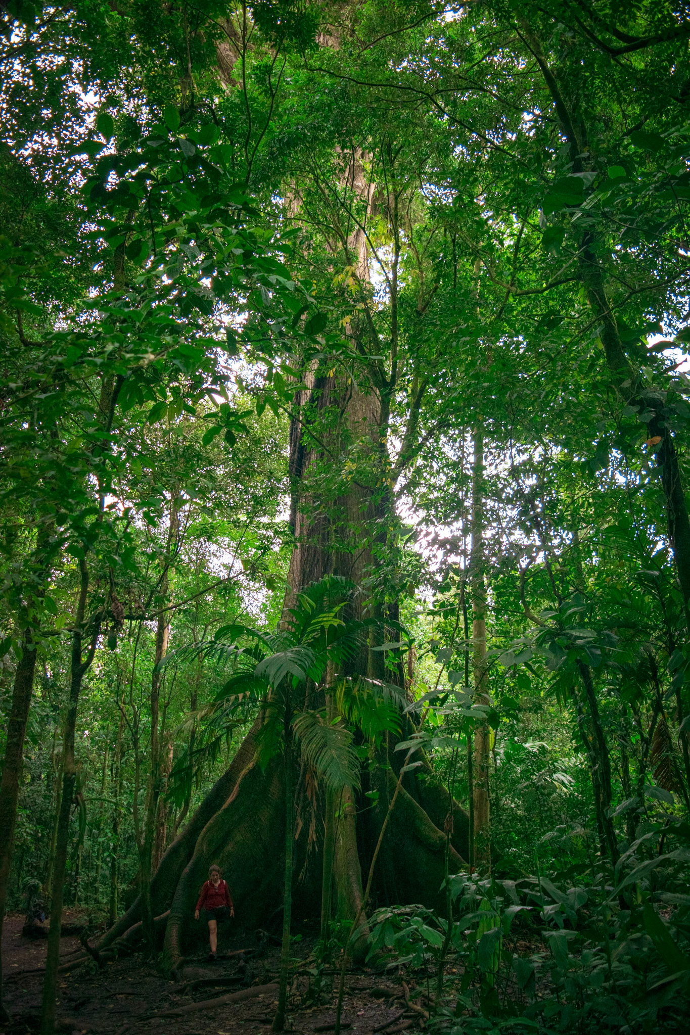 Arenal National Park, Costa Rica