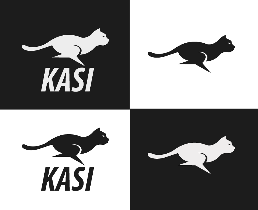 Kasi case study 06 image