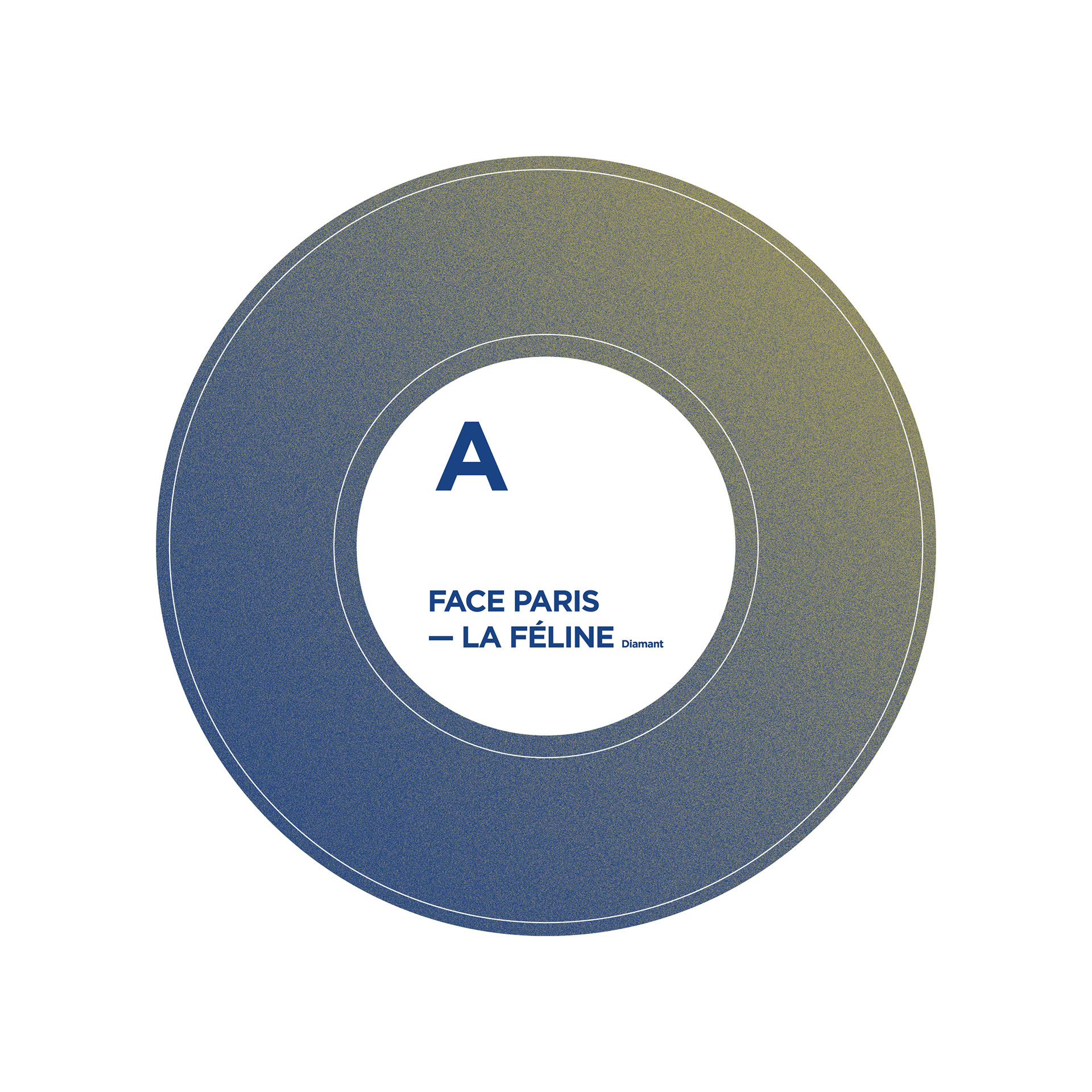 Shebam - Design Graphique - Nancy - Damien Raymond - Paul Filippi