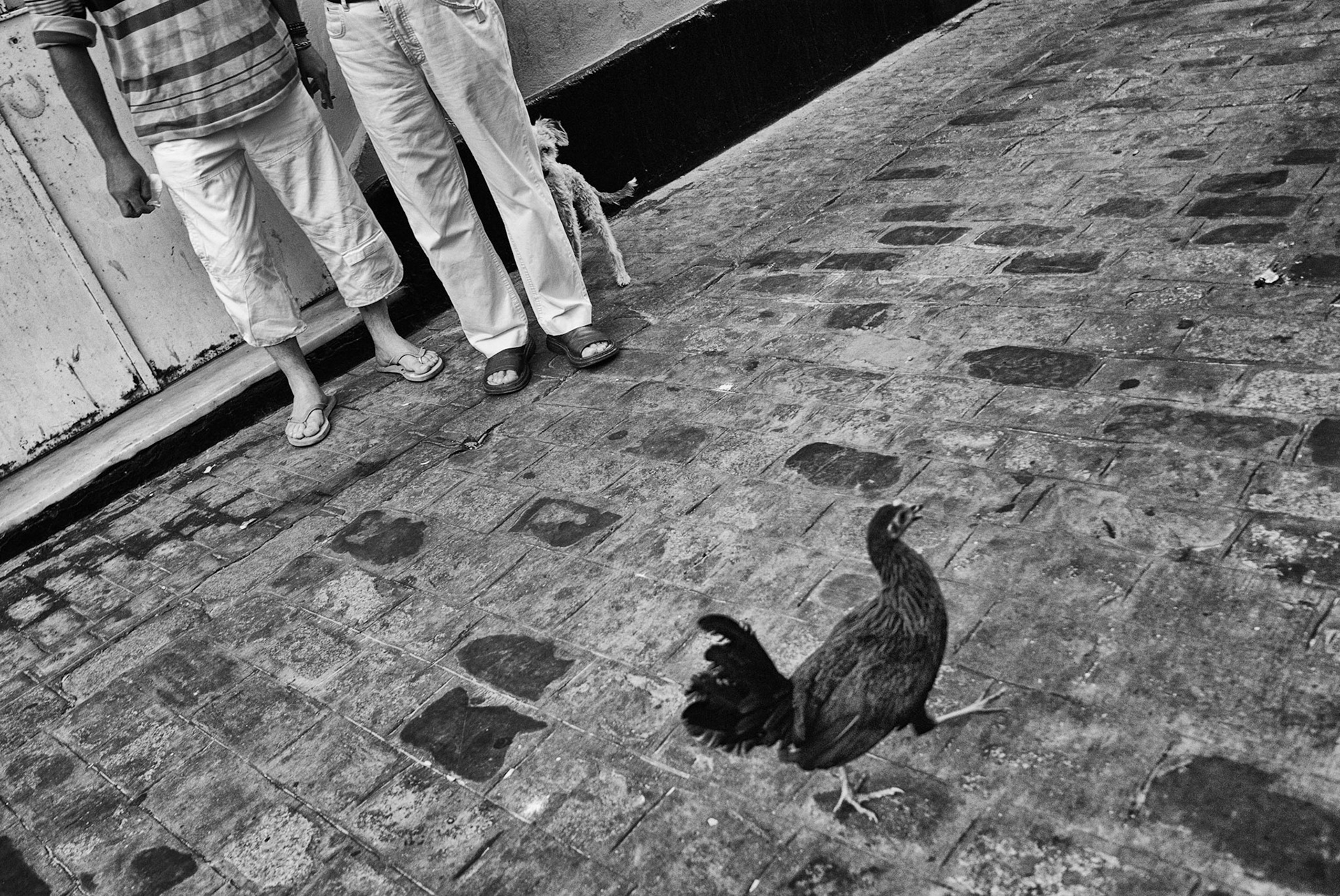 Cádiz, Spain, 2008
