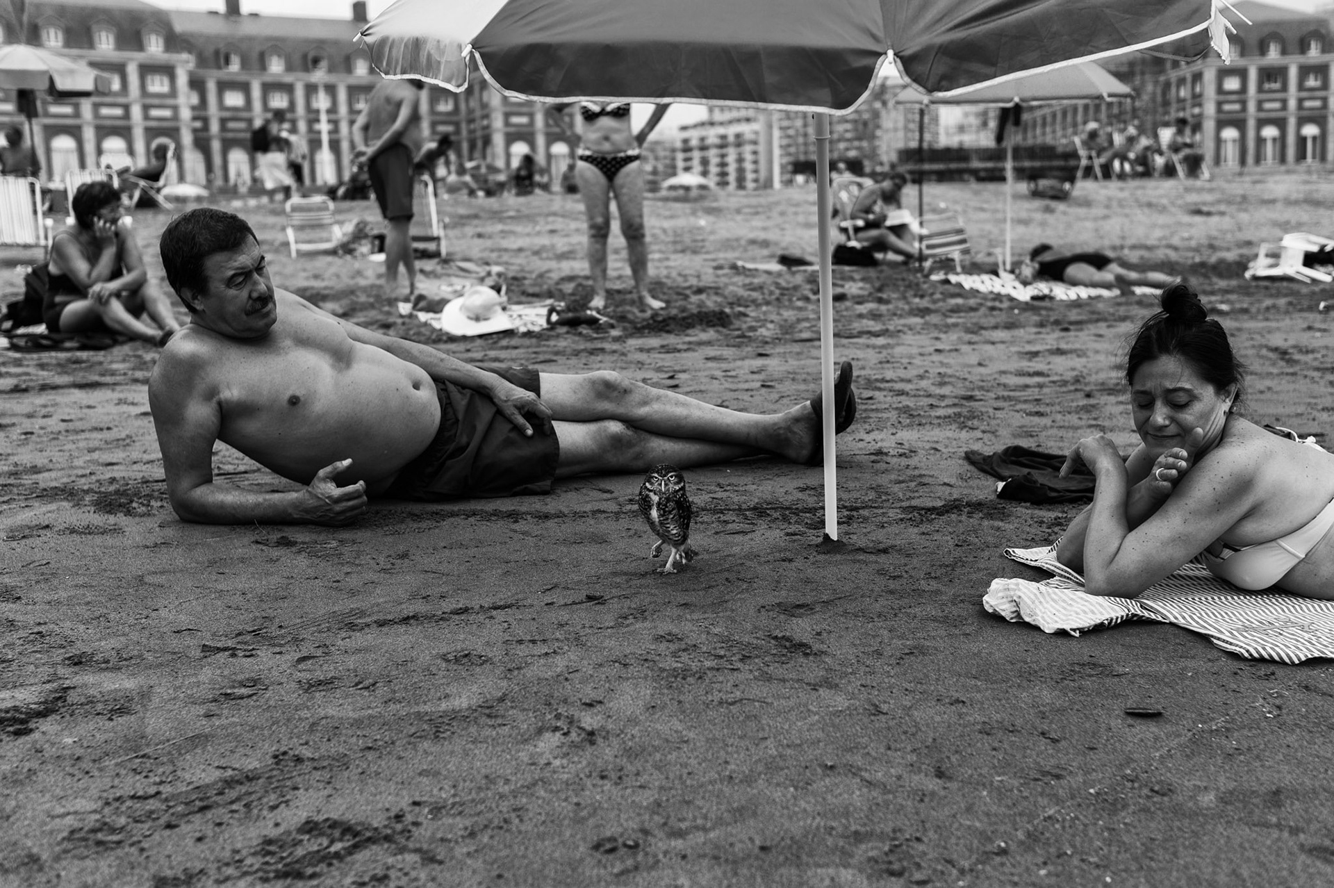 Mar del Plata, Argentina, 2014