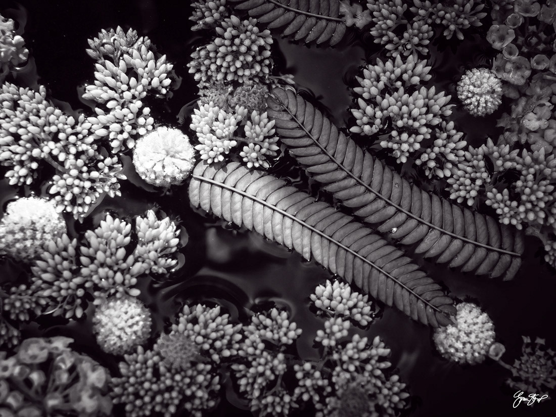 Photography by Gina Startup