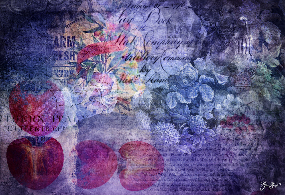 Mixed media Collage Art by Gina Startup
