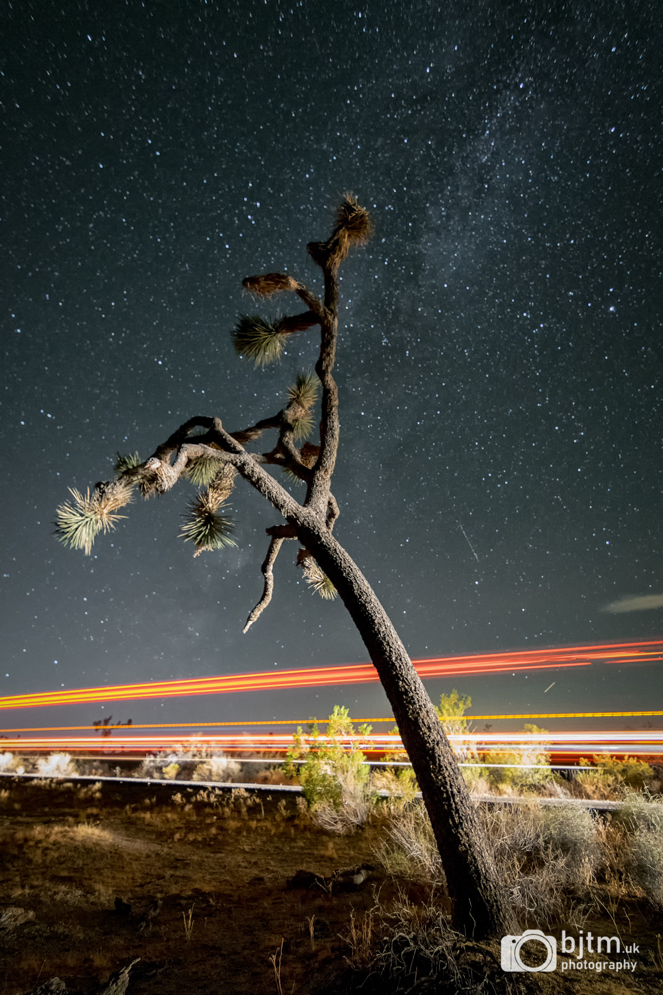 Joshua tree national park. California, USA, October 2017