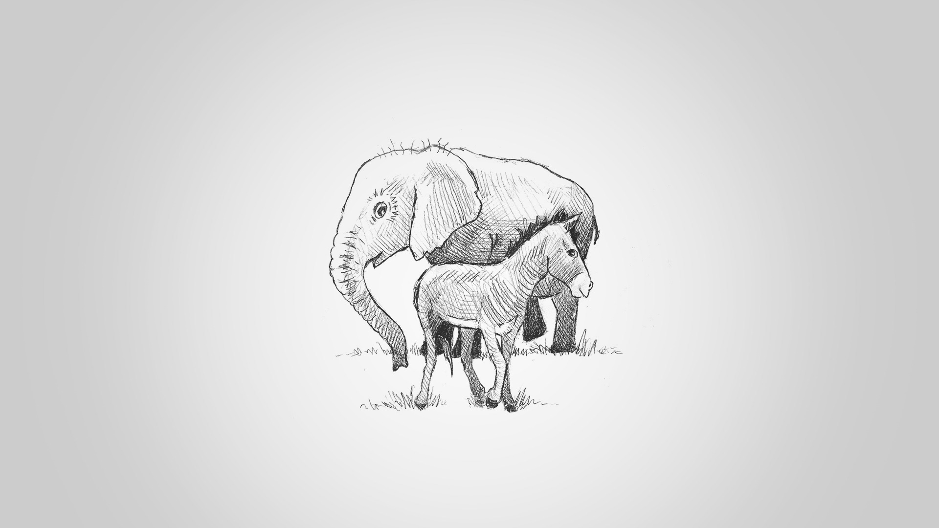 Custom Hand-drawn illustration of an Elephant and a Donkey looking suspicious of each other