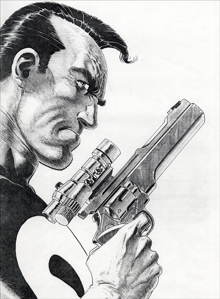 THE PUNISHER Graphic Novel (softcover edition). 