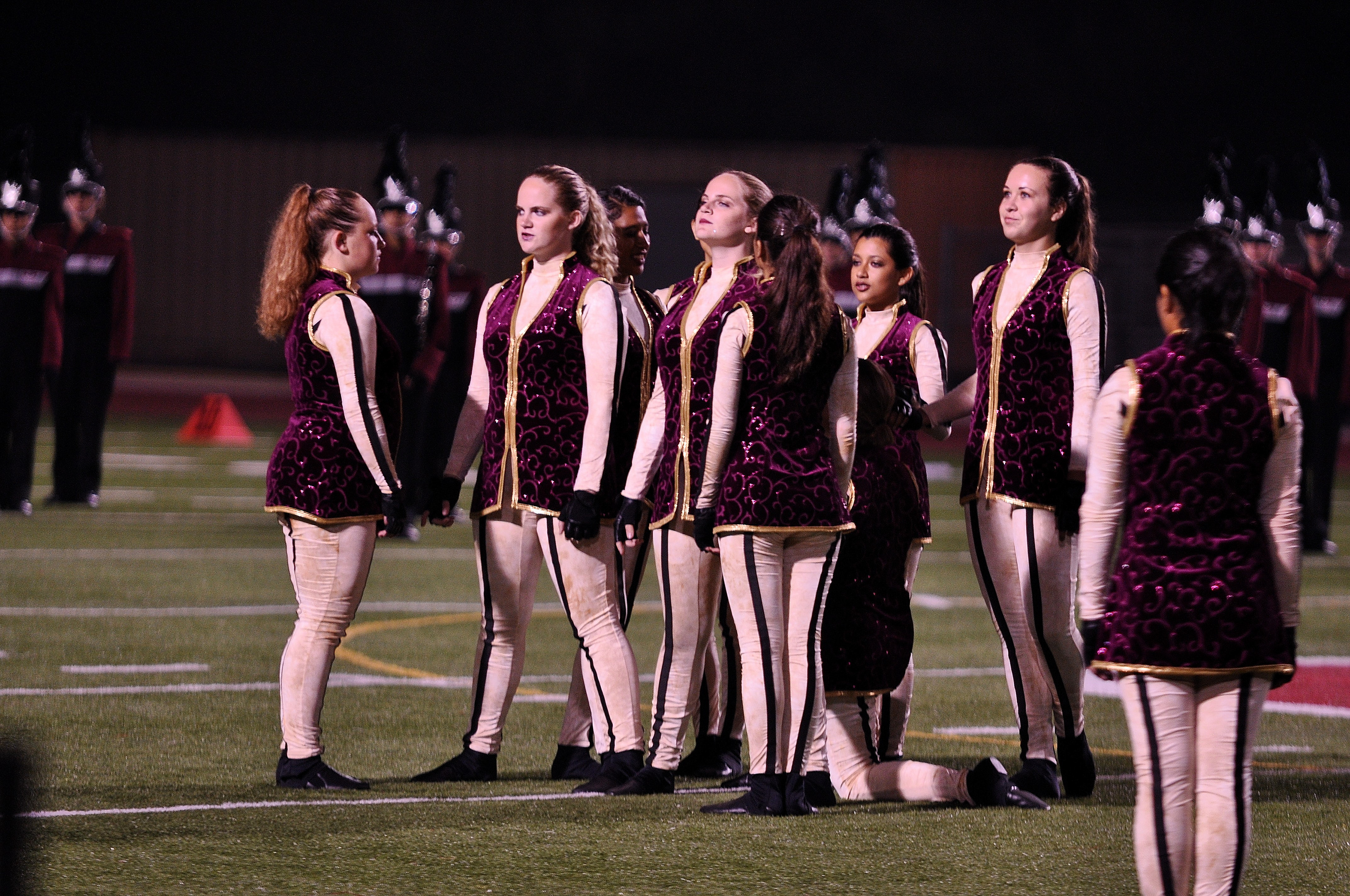 field 2011