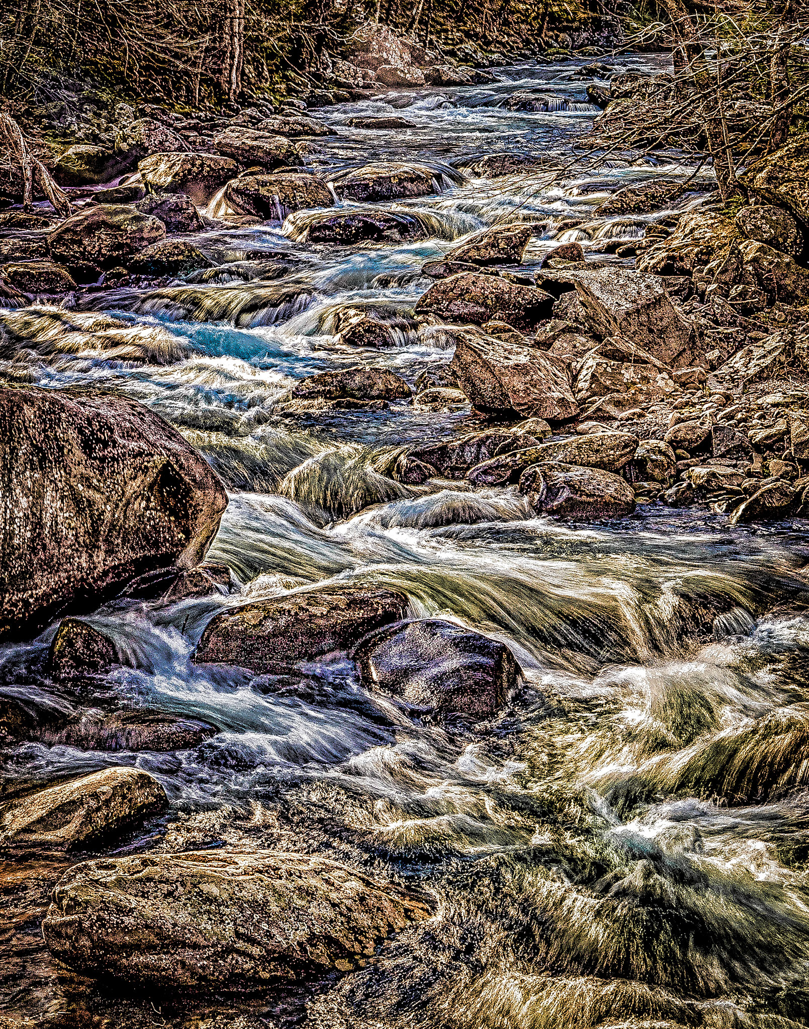 Great Smoky Mountains Stream