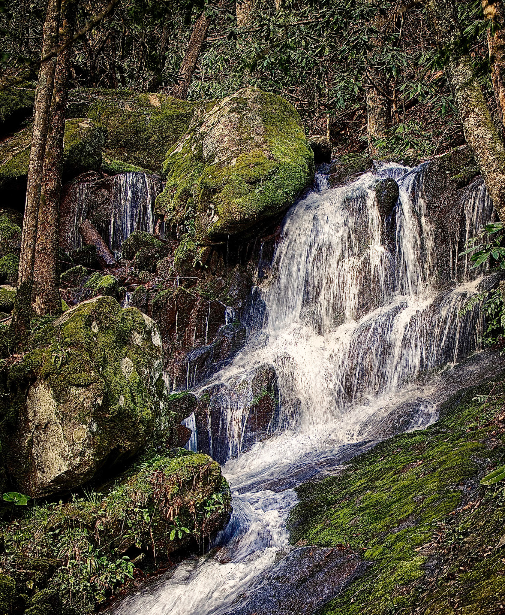 Cascade in Tremont Area of the Great Smoky Mountains National Park