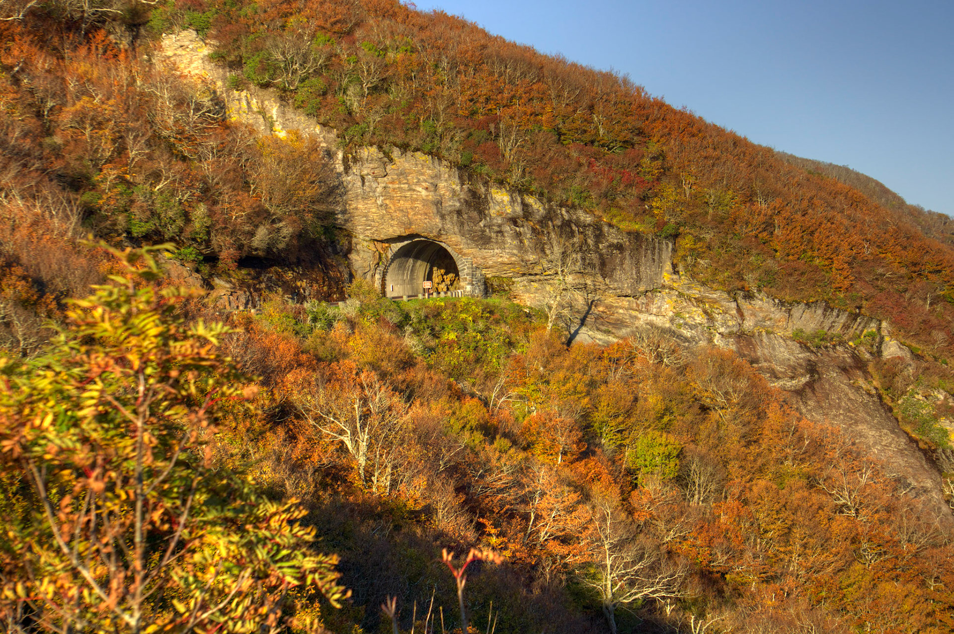 Craggy Gardens Tunnel