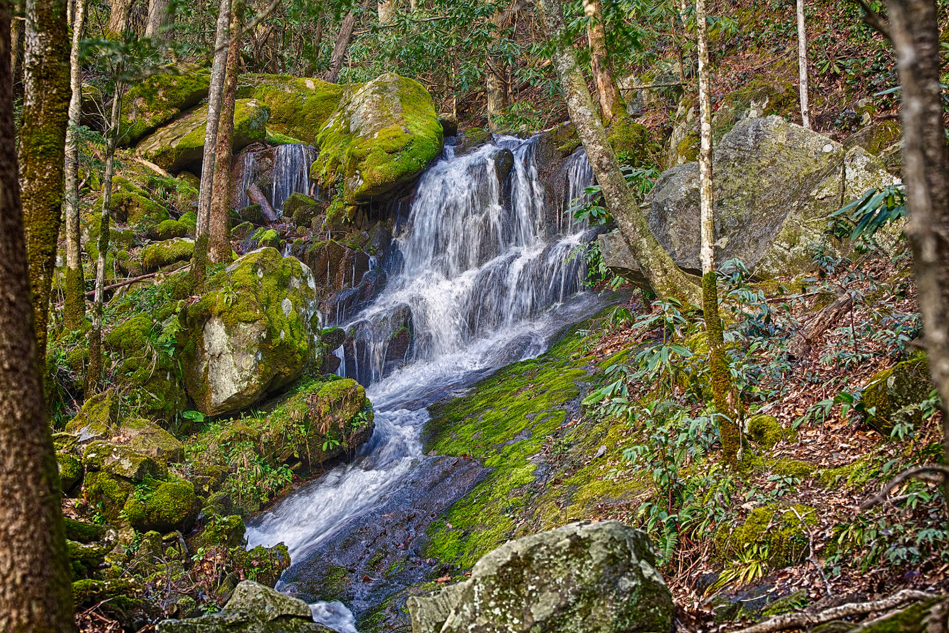 Cascade in Tremont Area of the Great Smoky Mountains National Park