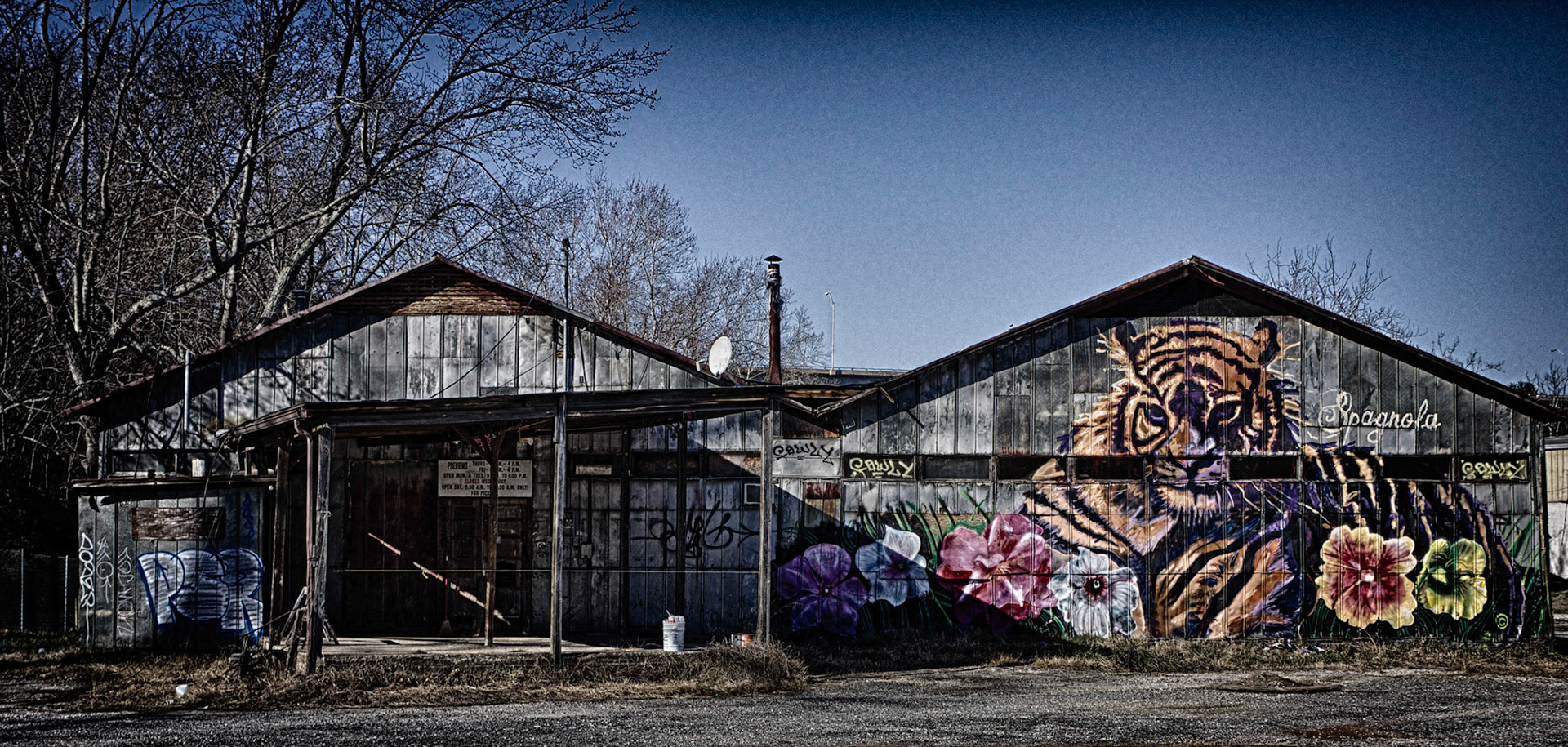 Abandoned Warehouse, Asheville, NC