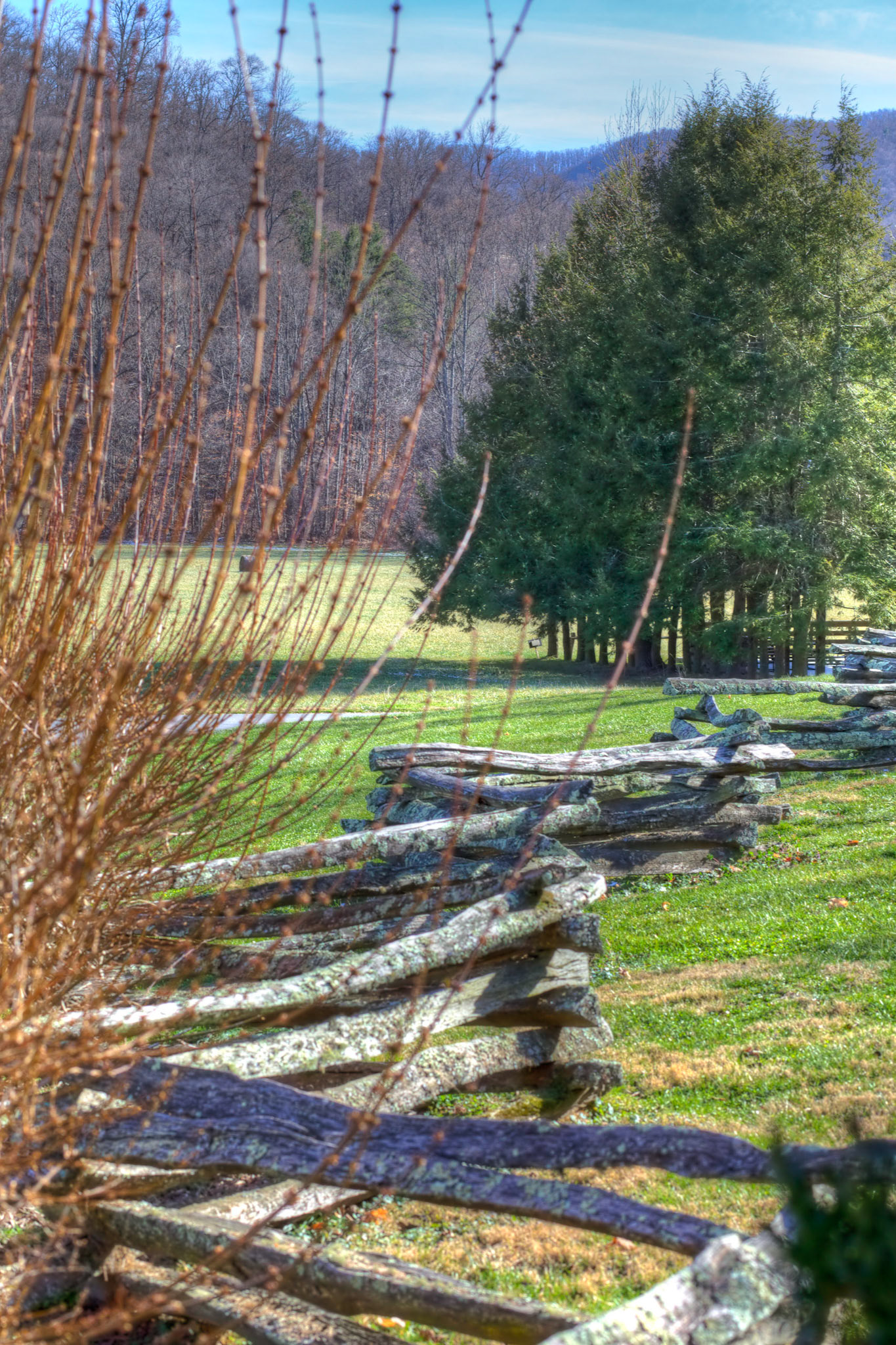Vance Homestead Pasture