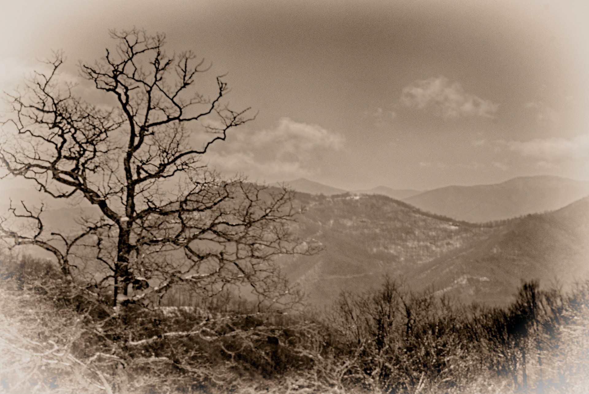 Scene from Cataloochee