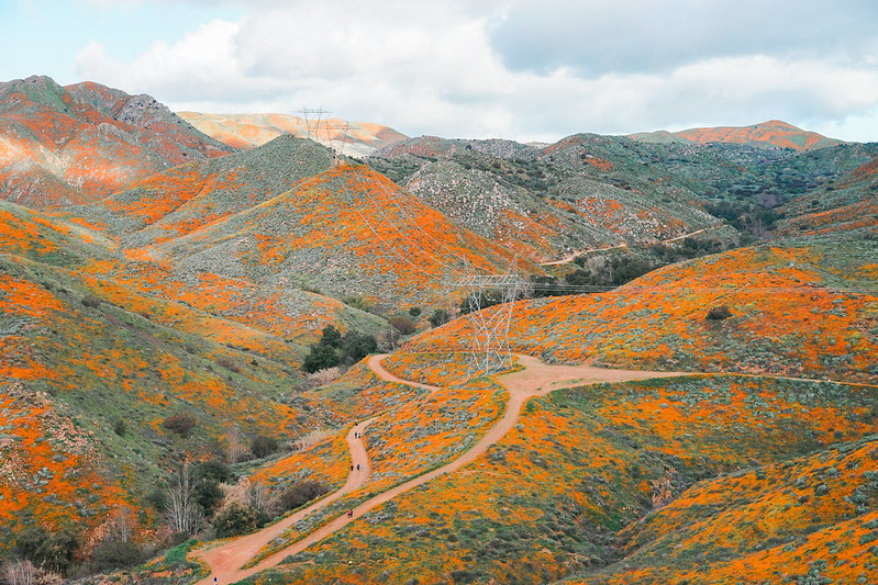Walker Canyon in Lake Elsinore, CA