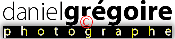 Daniel Gregoire