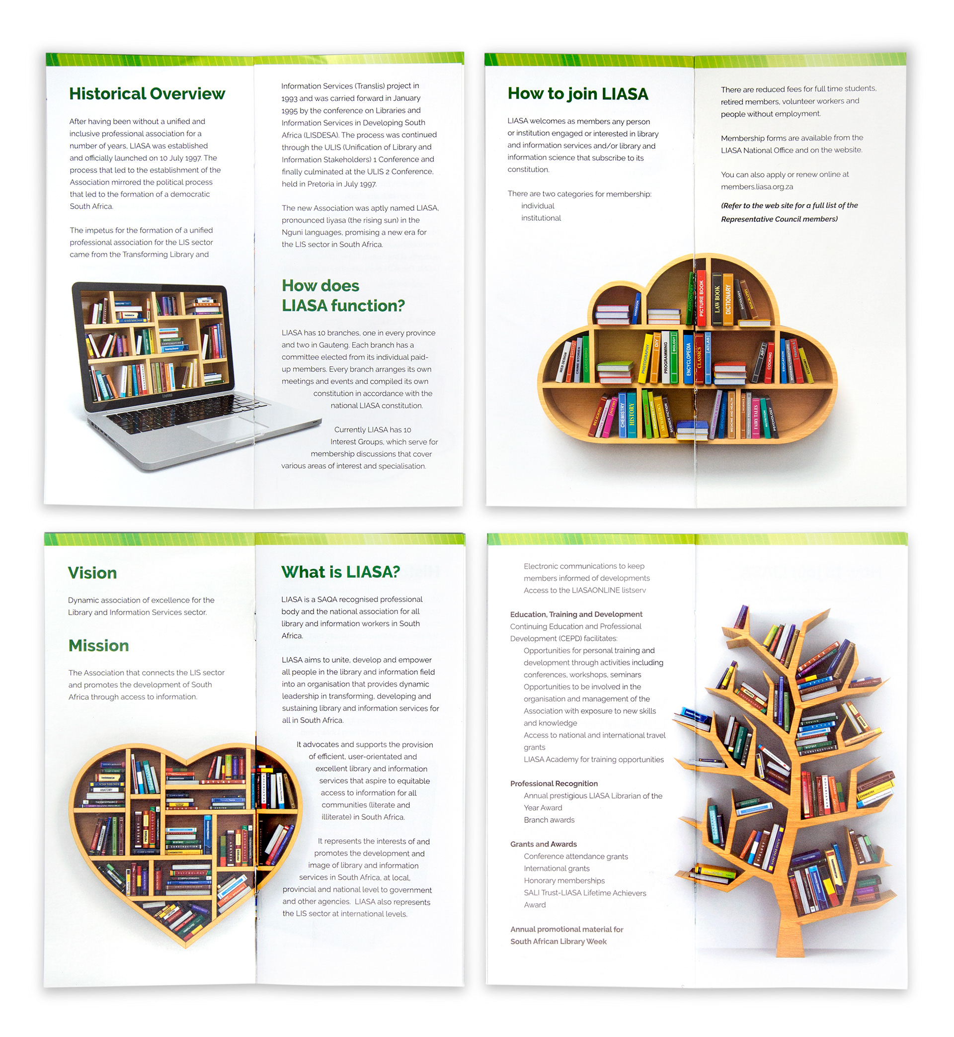 anthony dalton liasa information brochure