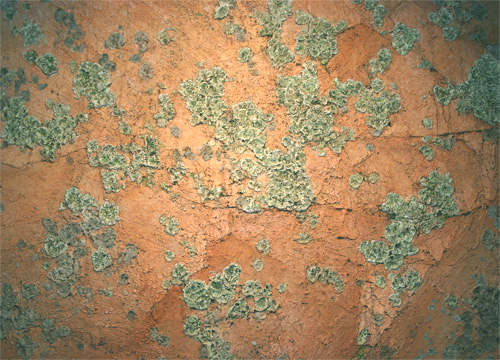 Lichen, Georgian Bay #1, 1986 - 137 x 190cm, SOLD