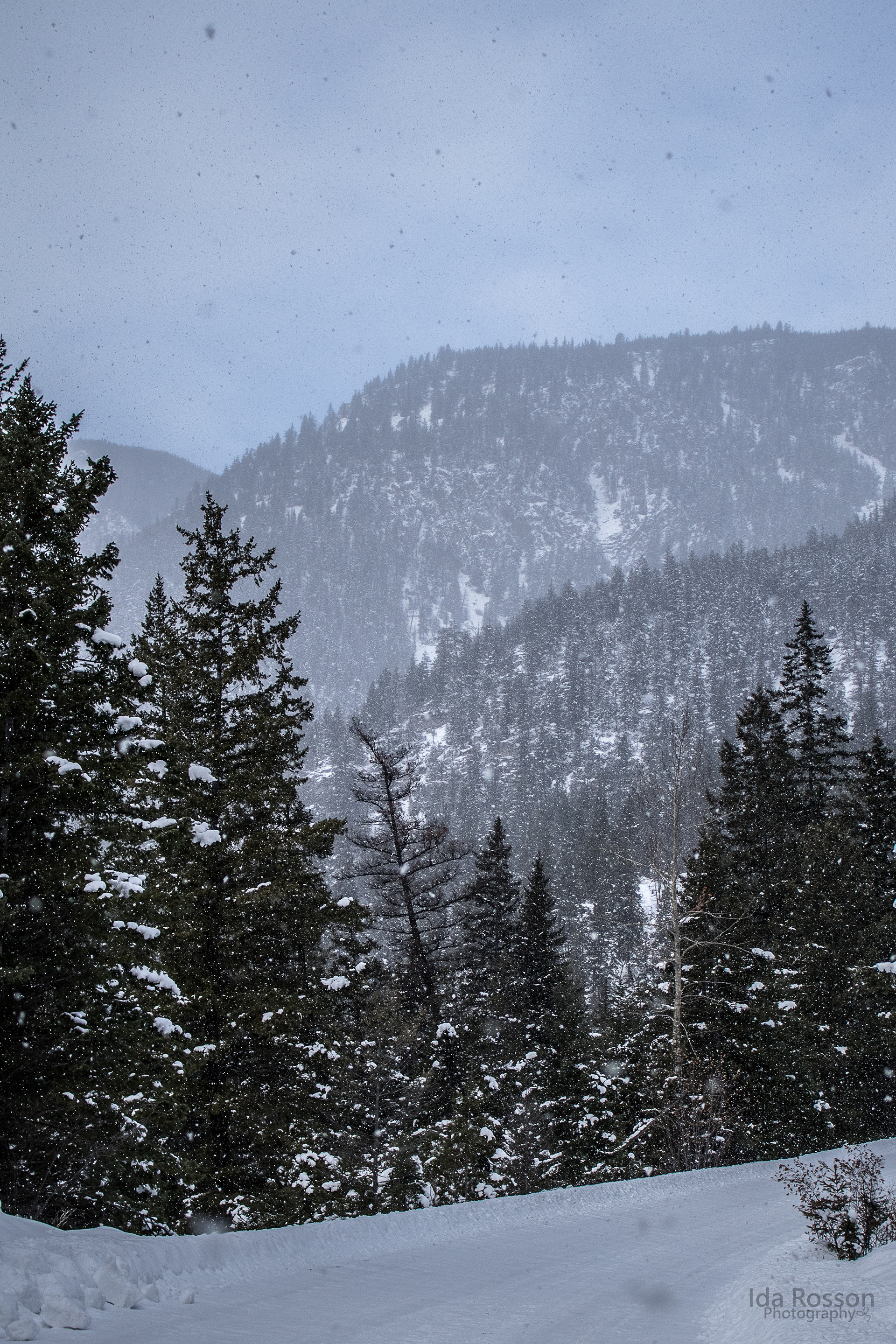 Cathedral Provincial Park