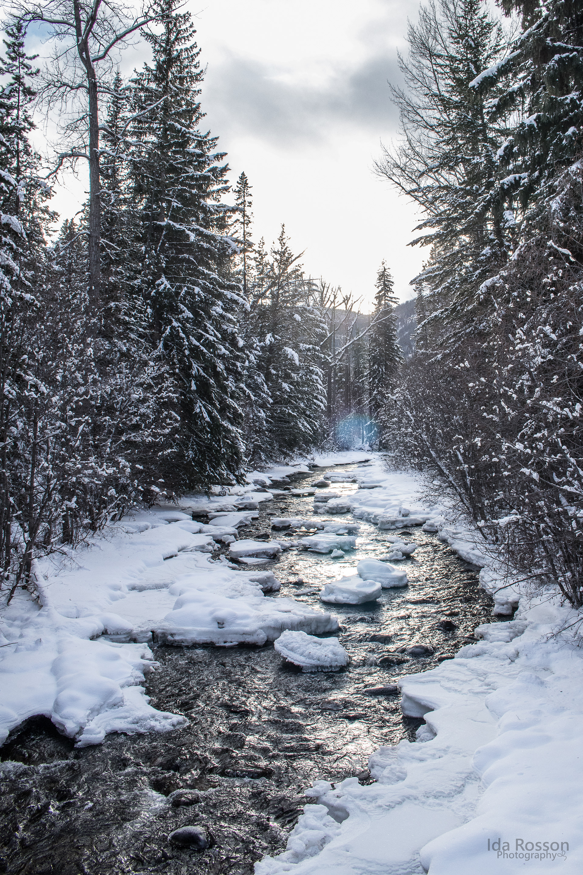 Cathedral Provincial Park