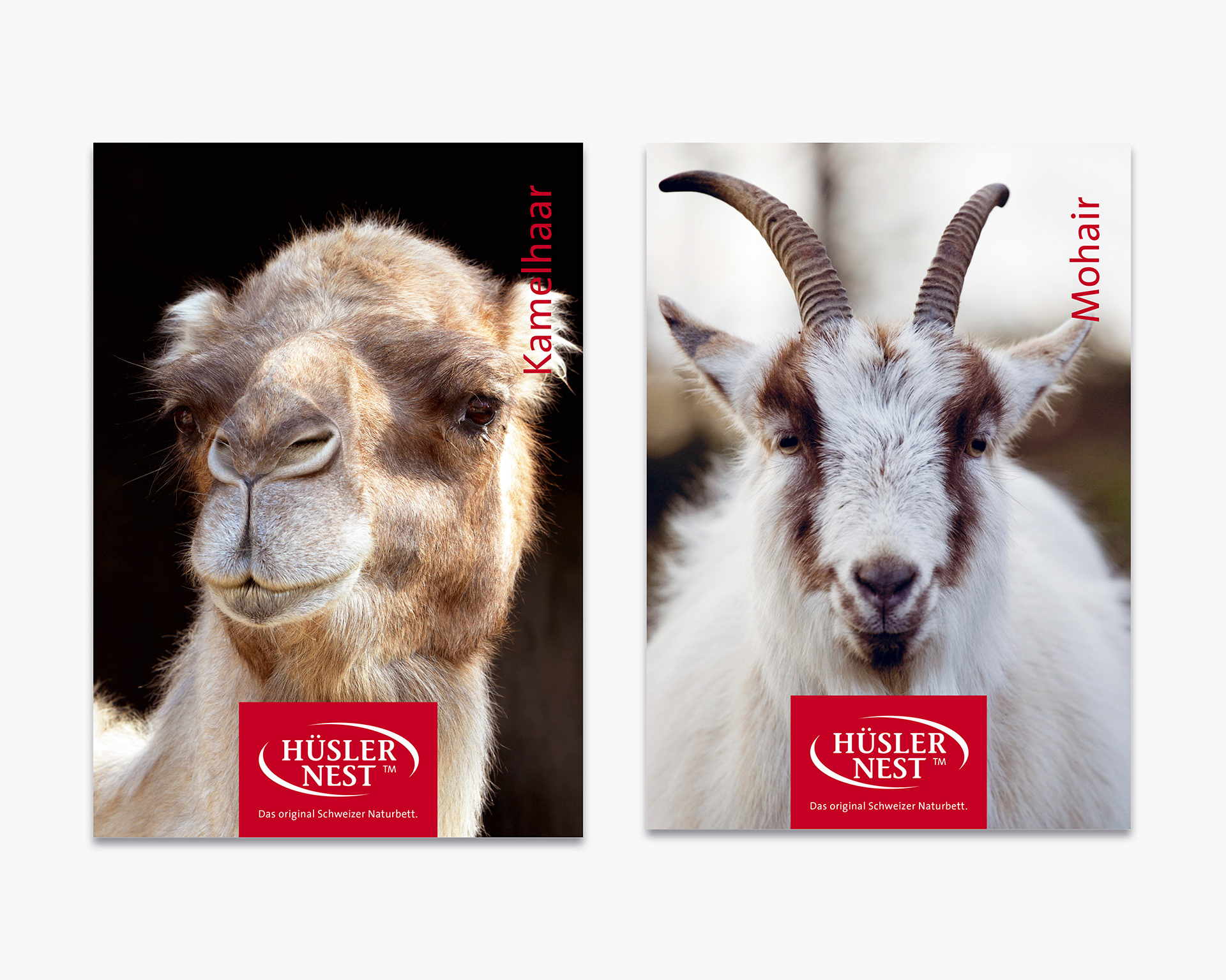 Produktflyer von Designagentur aus Kriens bei Luzern in der Zentralschweiz – Ihre Agentur für Corporate Design, Branding, Grafik, Verpackung und Kommunikationsdesign.