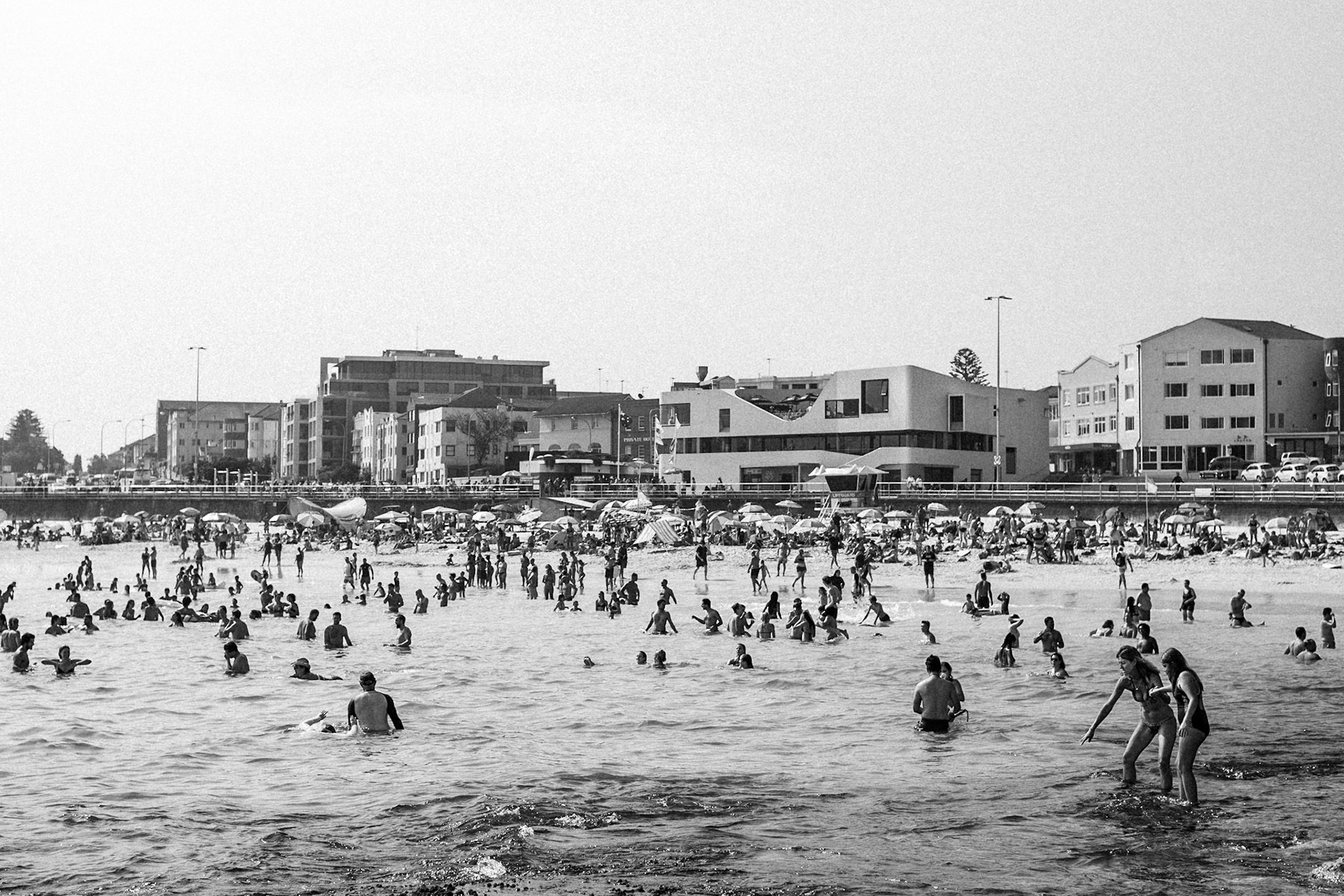 BONDI 8